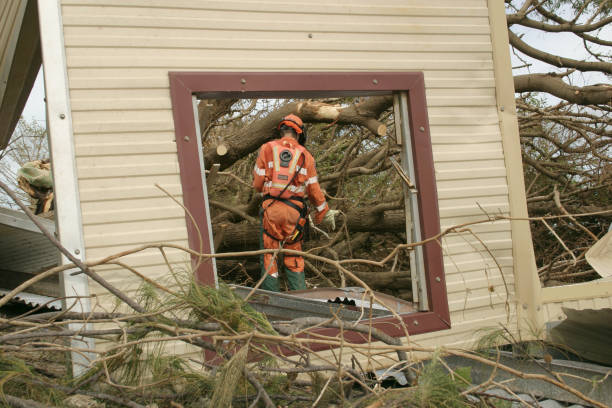 Best Root Management and Removal  in Jackson, AL